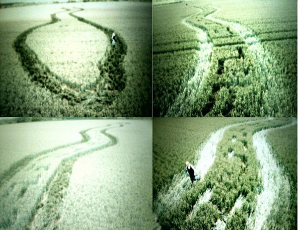 Wilton Windmill, Wiltshire crop circle, aerial photo 15