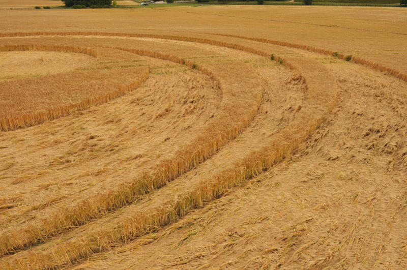 Barbury Castle (2), Wiltshire crop circle, aerial photo 32