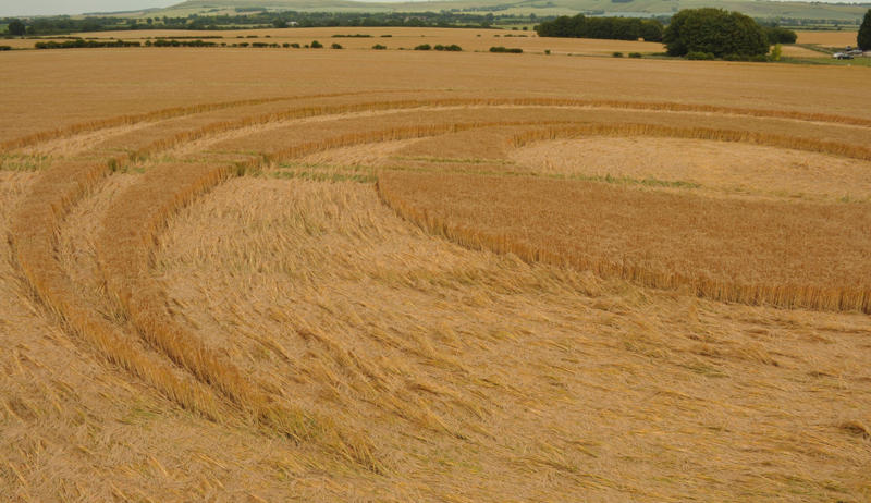Barbury Castle (2), Wiltshire crop circle, aerial photo 31