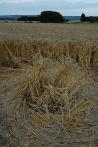 Barbury Castle (2), Wiltshire crop circle, aerial photo 45