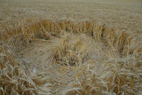 Barbury Castle (2), Wiltshire crop circle, aerial photo 44