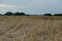Barbury Castle (2), Wiltshire crop circle, aerial photo 42