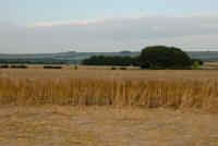 Barbury Castle (2), Wiltshire crop circle, aerial photo 40