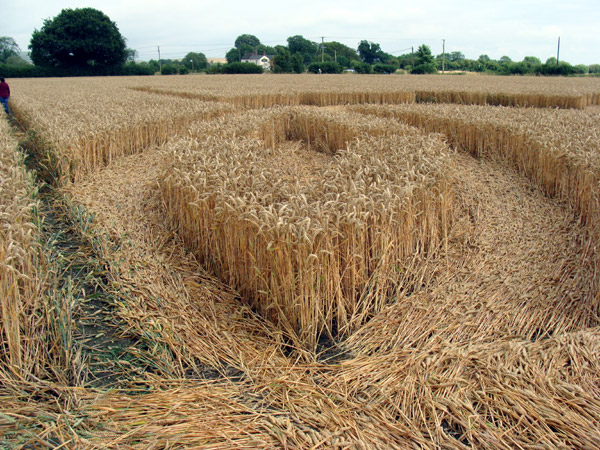 Bridge Inn, Wiltshire crop circle, aerial photo 24