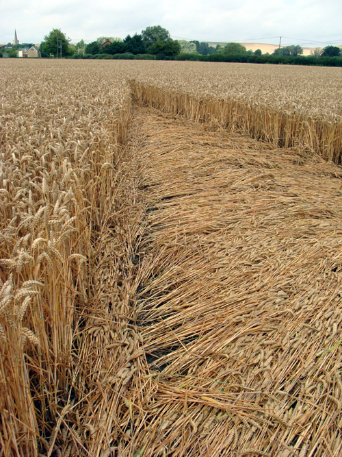 Bridge Inn, Wiltshire crop circle, aerial photo 25