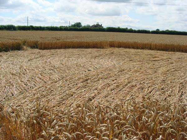 Bridge Inn, Wiltshire crop circle, aerial photo 26