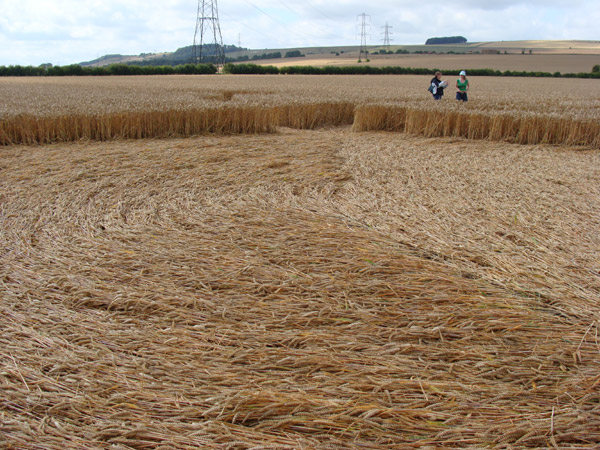 Bridge Inn, Wiltshire crop circle, aerial photo 28