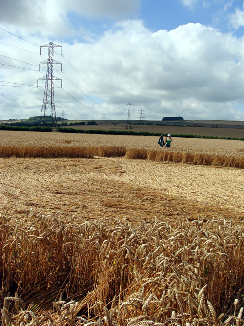 Bridge Inn, Wiltshire crop circle, aerial photo 29