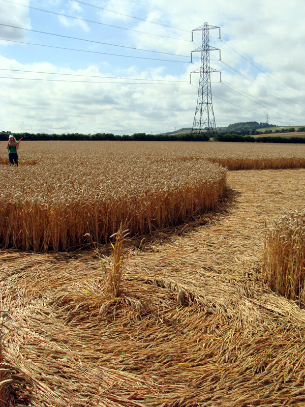 Bridge Inn, Wiltshire crop circle, aerial photo 30