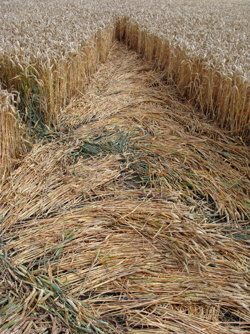 Bridge Inn, Wiltshire crop circle, aerial photo 31