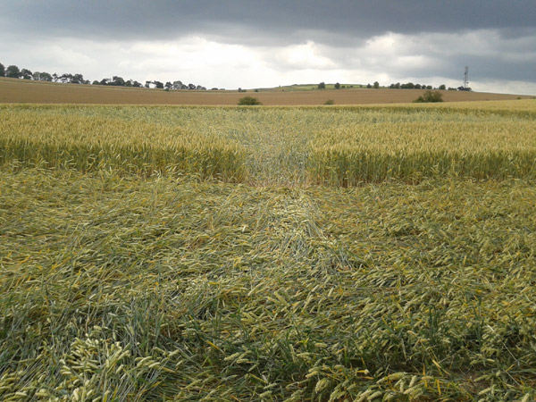 Charlbury Hill (2), Wiltshire crop circle, aerial photo 22