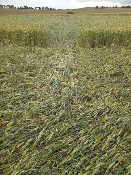 Charlbury Hill (2), Wiltshire crop circle, aerial photo 24