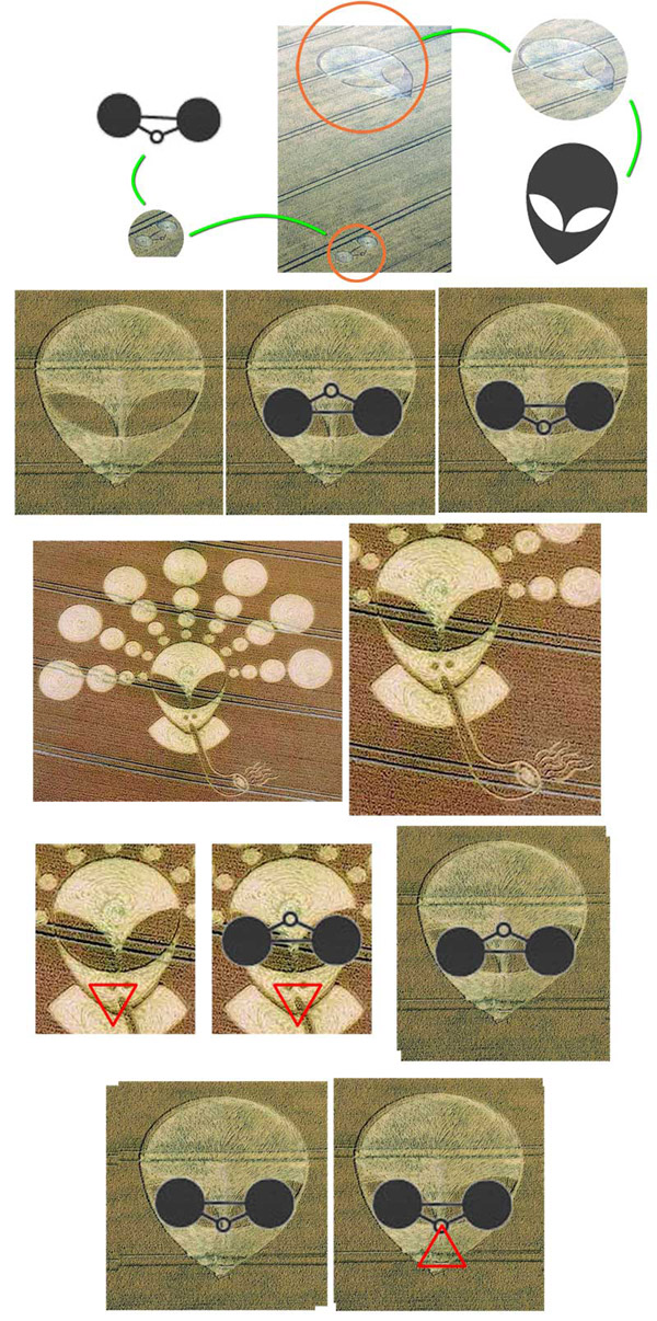 Charlbury Hill (2), Wiltshire crop circle, aerial photo 15