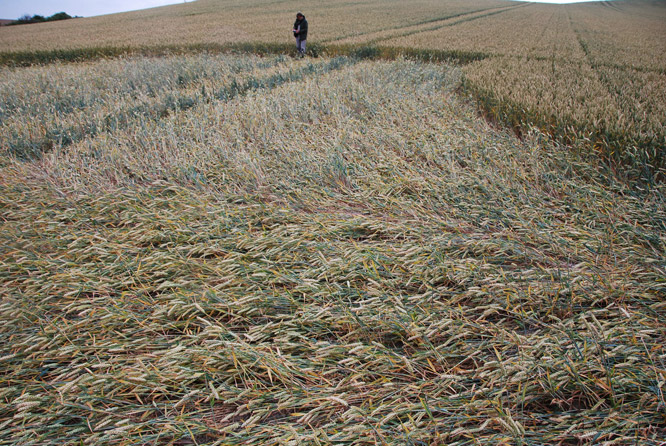 Charlbury Hill (2), Wiltshire crop circle, aerial photo 17