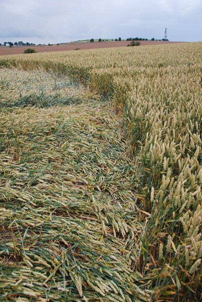 Charlbury Hill (2), Wiltshire crop circle, aerial photo 19