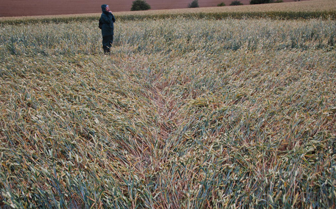 Charlbury Hill (2), Wiltshire crop circle, aerial photo 18