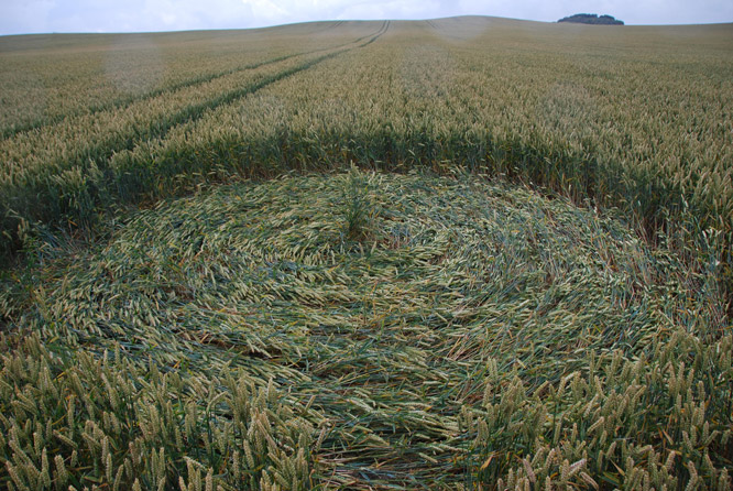 Charlbury Hill (2), Wiltshire crop circle, aerial photo 20