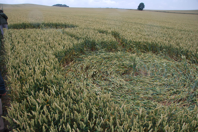 Charlbury Hill (2), Wiltshire crop circle, aerial photo 21