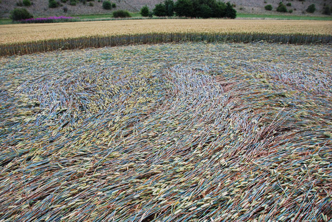 Cherhill Down, Wiltshire crop circle, aerial photo 9