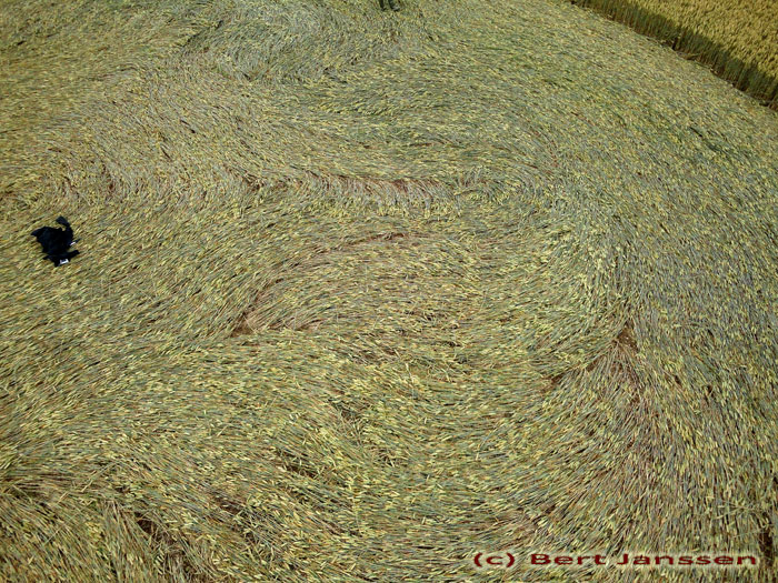 Cherhill Down, Wiltshire crop circle, aerial photo 12