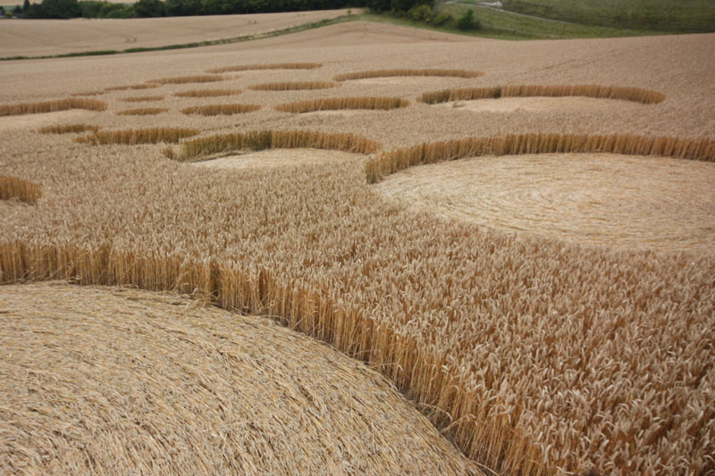 Cherhill White Horse, Wiltshire crop circle, aerial photo 37
