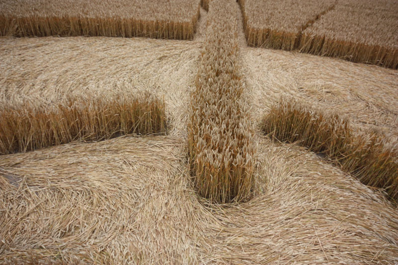 Cherhill White Horse, Wiltshire crop circle, aerial photo 36