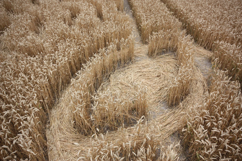 Cherhill White Horse, Wiltshire crop circle, aerial photo 35