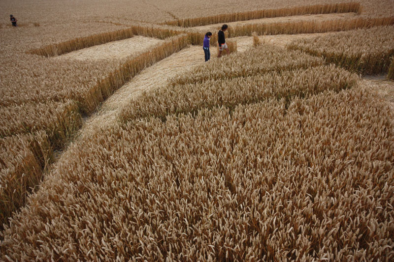 Cherhill White Horse, Wiltshire crop circle, aerial photo 38