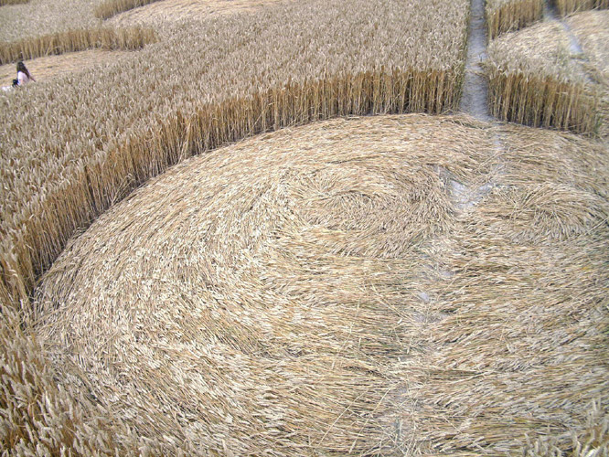 Cherhill White Horse, Wiltshire crop circle, aerial photo 29