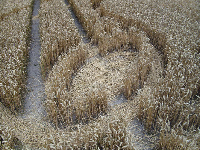 Cherhill White Horse, Wiltshire crop circle, aerial photo 31