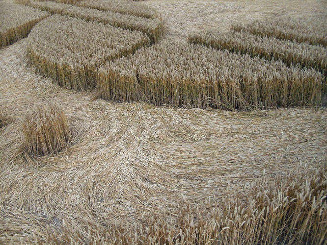 Cherhill White Horse, Wiltshire crop circle, aerial photo 30