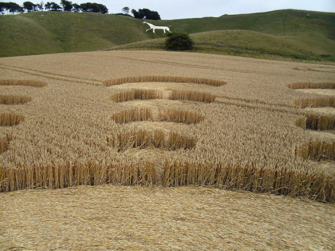 Cherhill White Horse, Wiltshire crop circle, aerial photo 27