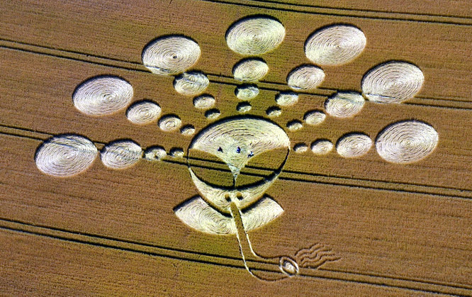 Cherhill White Horse, Wiltshire crop circle, aerial photo 3