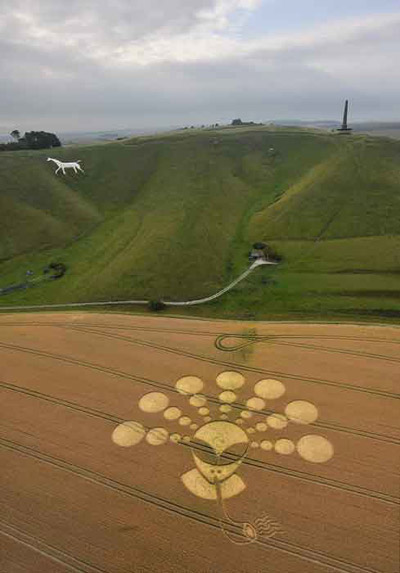 Cherhill White Horse, Wiltshire crop circle, aerial photo 2