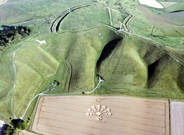 Cherhill White Horse, Wiltshire crop circle, aerial photo 5