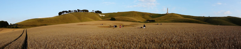 Cherhill White Horse, Wiltshire crop circle, aerial photo 33