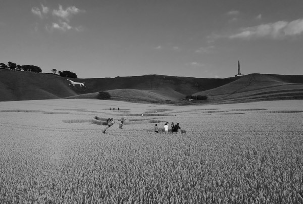 Cherhill White Horse, Wiltshire crop circle, aerial photo 32