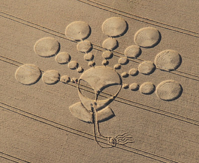 Cherhill White Horse, Wiltshire crop circle, aerial photo 4