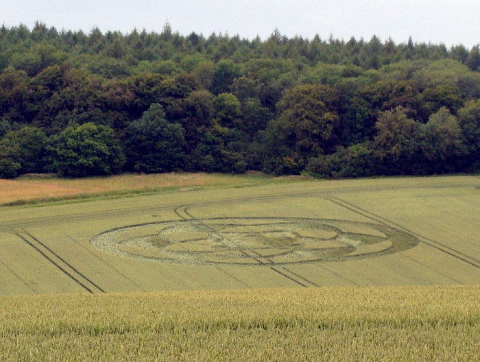 Fonthill Down, Wiltshire crop circle, aerial photo 19