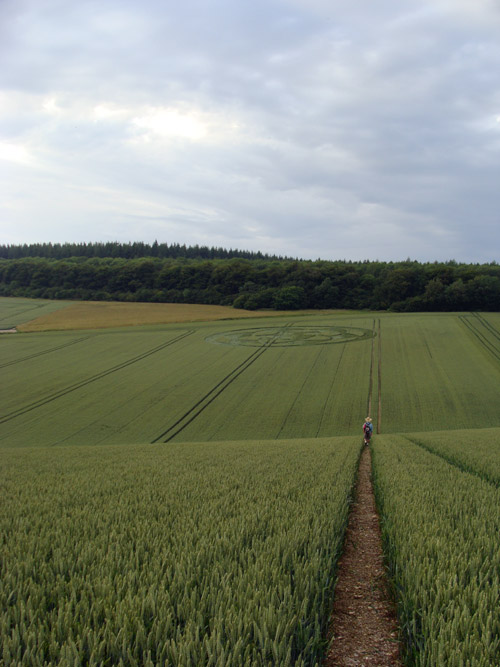 Fonthill Down, Wiltshire crop circle, aerial photo 20