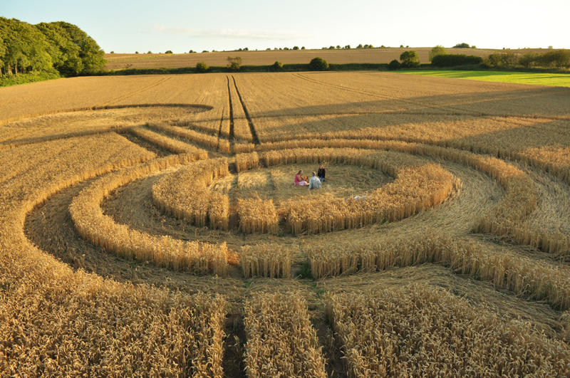 Cooks Plantation, Wiltshire crop circle, aerial photo 29