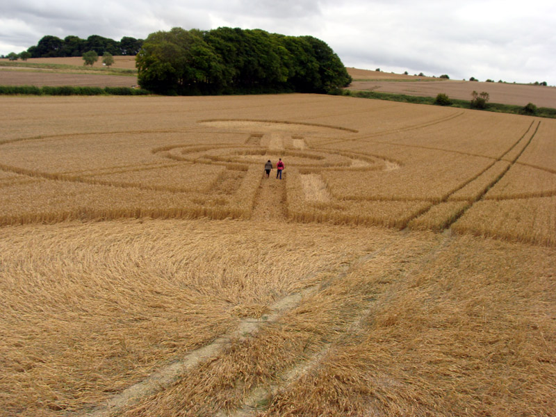 Cooks Plantation, Wiltshire crop circle, aerial photo 31