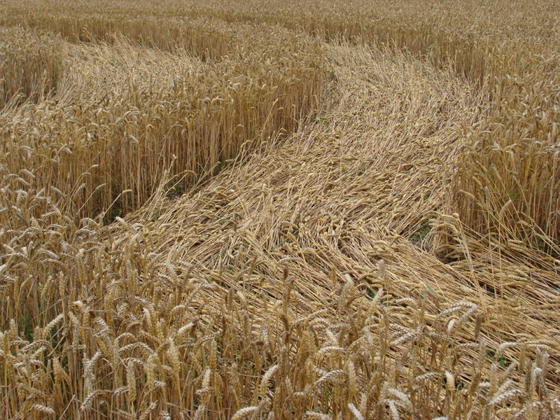 Cooks Plantation, Wiltshire crop circle, aerial photo 35