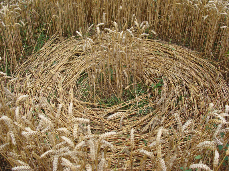 Cooks Plantation, Wiltshire crop circle, aerial photo 33