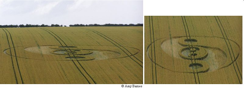 Dovendale Longbarrow, Lincolnshire crop circle, aerial photo 10