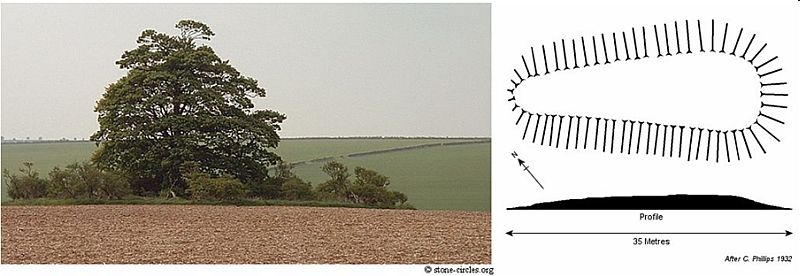 Dovendale Longbarrow, Lincolnshire crop circle, aerial photo 31