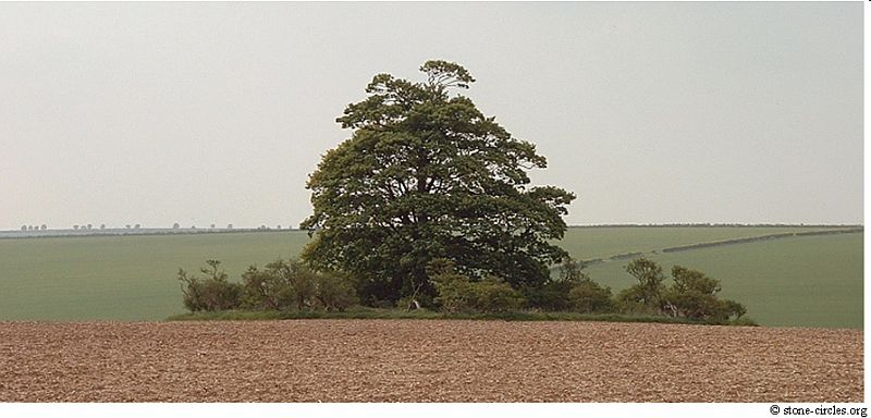 Dovendale Longbarrow, Lincolnshire crop circle, aerial photo 23
