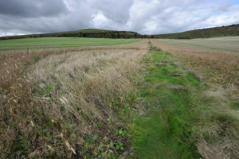 East Field (2), Wiltshire crop circle, aerial photo 10