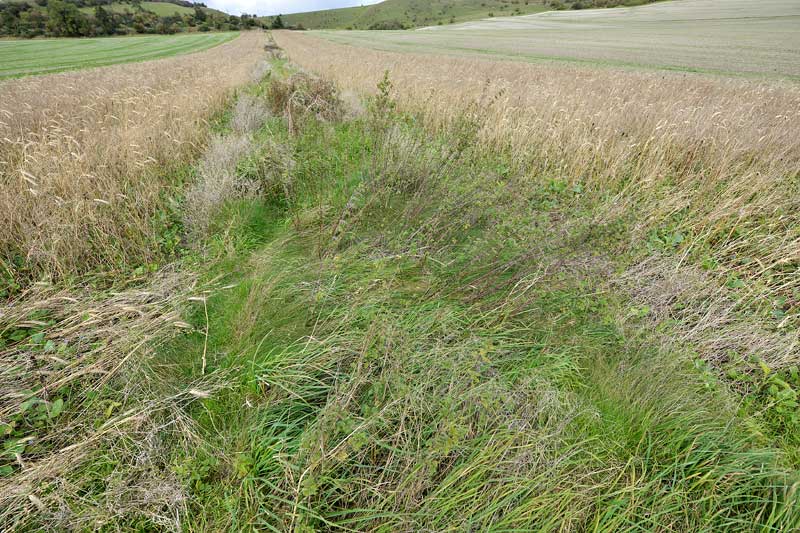 East Field (2), Wiltshire crop circle, aerial photo 11