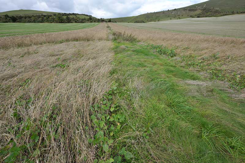 East Field (2), Wiltshire crop circle, aerial photo 12